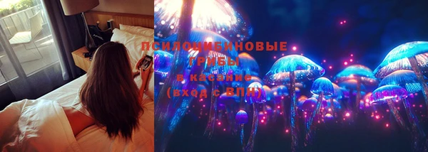 герыч Няндома
