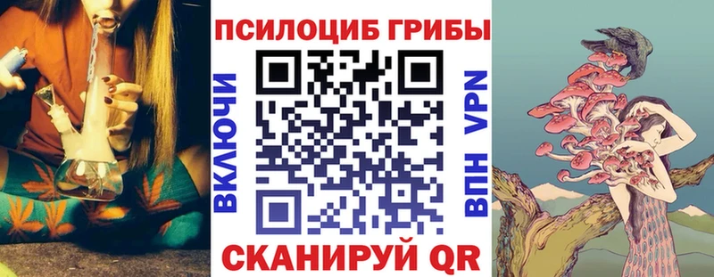 Галлюциногенные грибы прущие грибы  Нарьян-Мар 